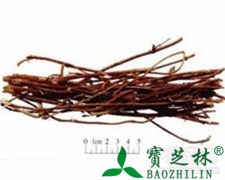 忍冬藤的作用与功效