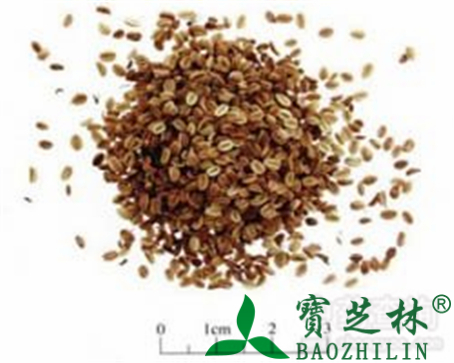 蛇床子的作用与功效