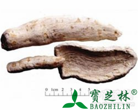 天花粉的作用与功效