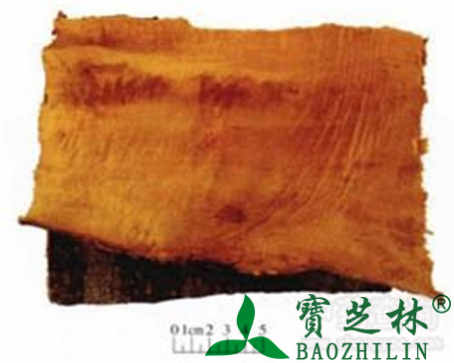 黄柏的作用与功效