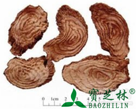 商陆的作用与功效