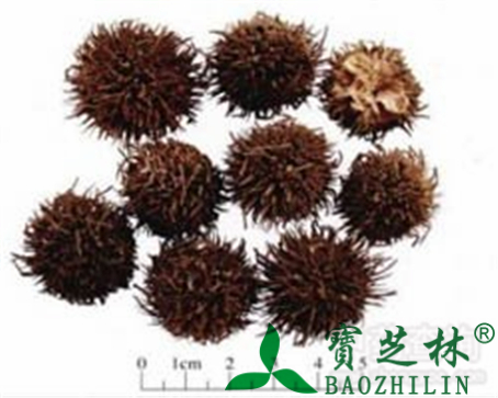 路路通的作用与功效