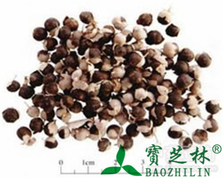 蔓荆子的作用与功效