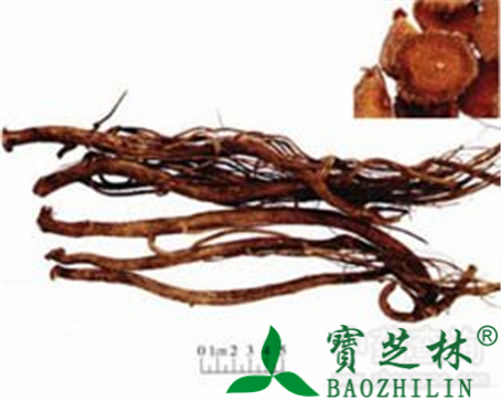 川牛膝的作用与功效