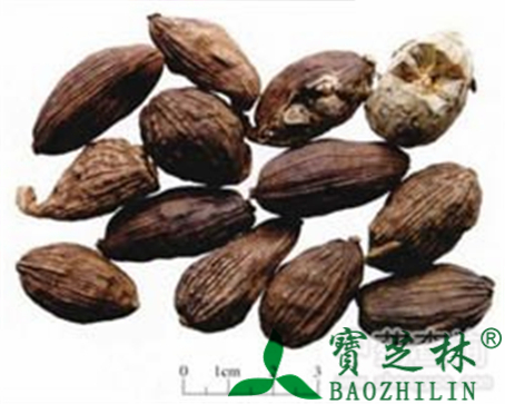 草果的作用与功效