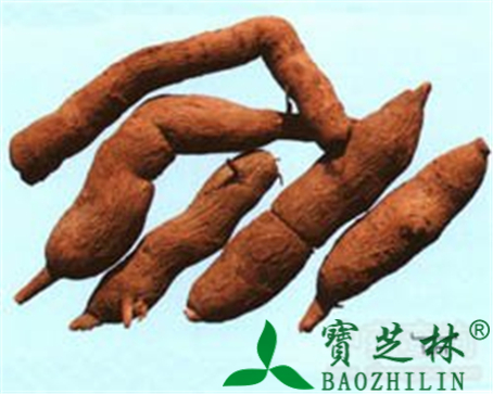 乌药的作用与功效