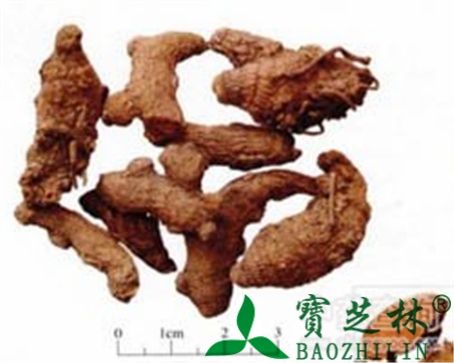 姜黄的作用与功效