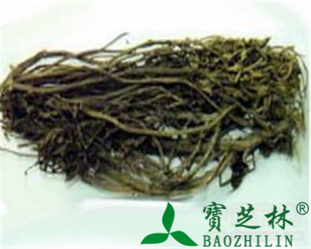 溪黄草的作用与功效