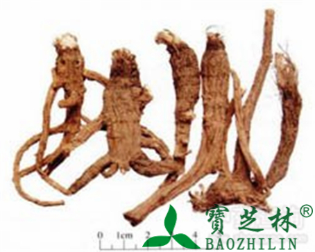 前胡的作用与功效