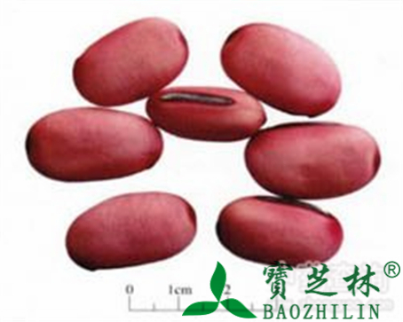 刀豆的作用与功效