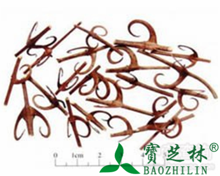 钩藤的作用与功效