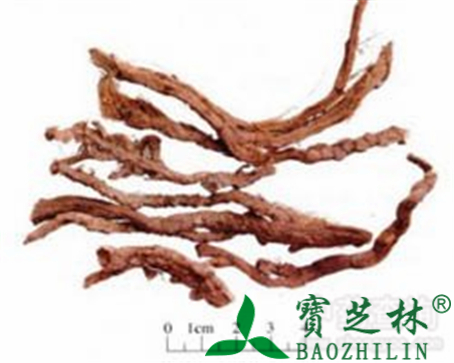 石菖蒲的作用与功效