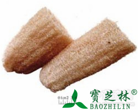 粤丝瓜络的作用与功效