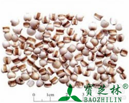 薏苡仁的作用与功效