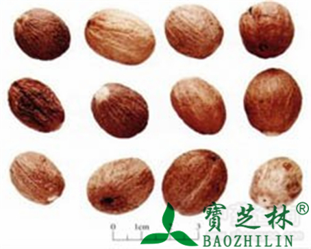 肉豆蔻的作用与功效