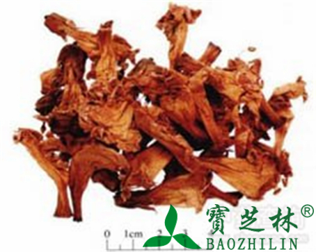 凌霄花的作用与功效
