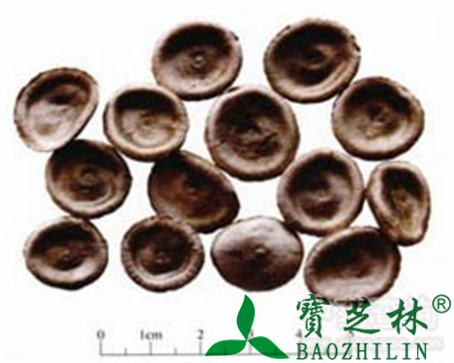 马钱子的作用与功效