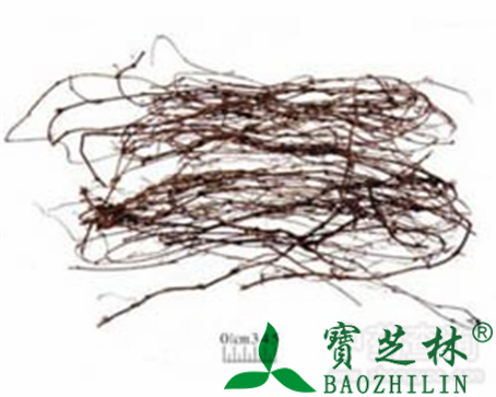 海风藤的作用与功效