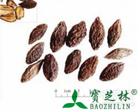 青果的作用与功效