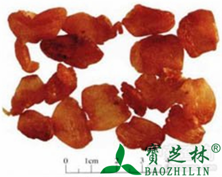 龙眼肉的作用与功效