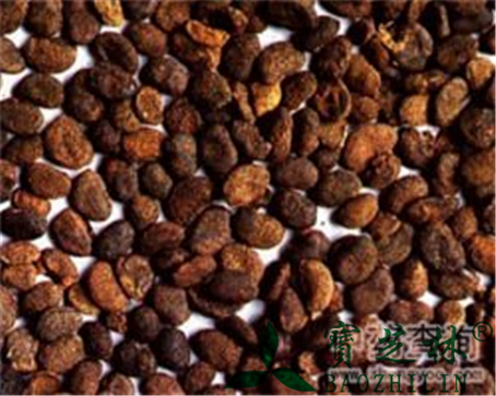 补骨脂的作用与功效