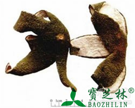 化橘红的作用与功效