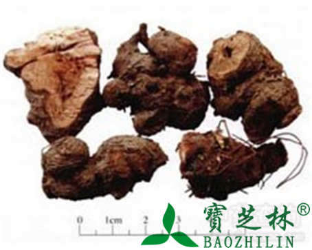 金荞麦的作用与功效
