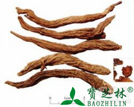 红大戟的作用与功效