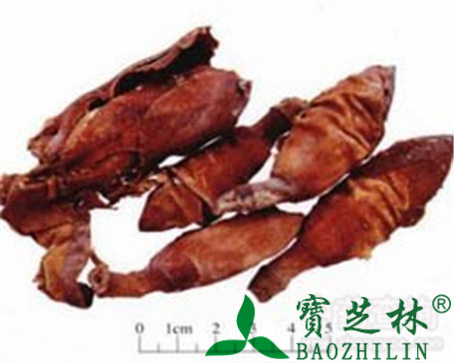 厚朴花的作用与功效