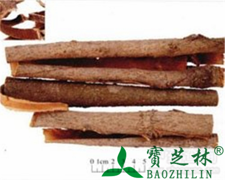 秦皮的作用与功效