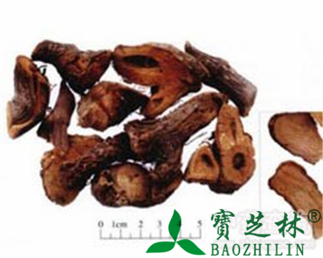 虎杖的作用与功效
