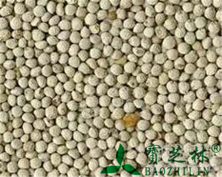 白苏子的作用与功效