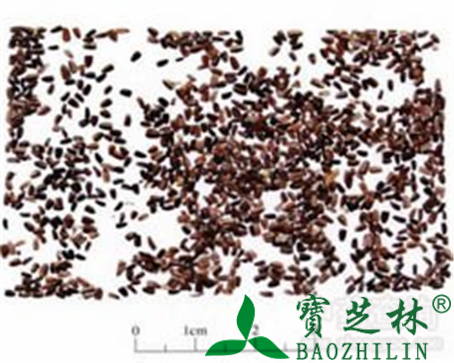 茺蔚子的作用与功效