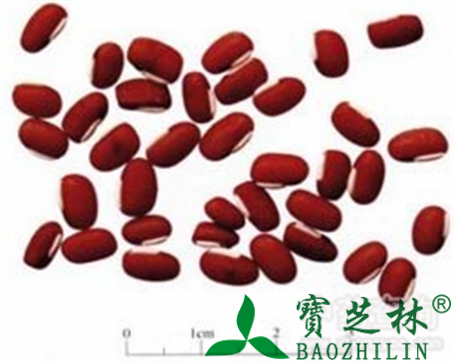 赤小豆的作用与功效