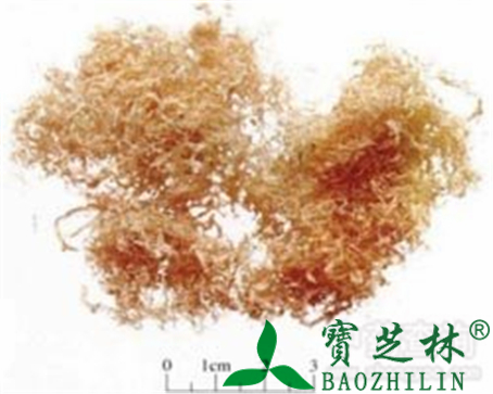 竹茹的作用与功效