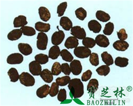 淡豆豉的作用与功效