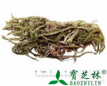 伸筋草的作用与功效