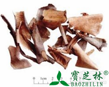 冬瓜皮的作用与功效