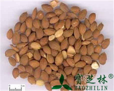 郁李仁的作用与功效