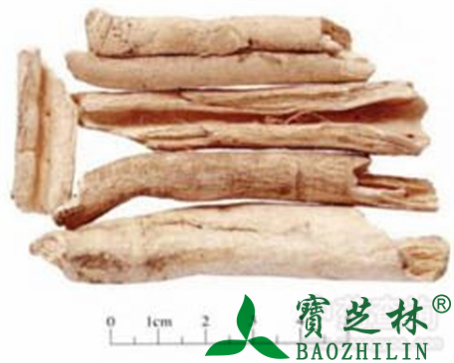 白鲜皮的作用与功效
