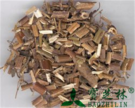 败酱草的作用与功效