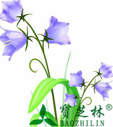 中药龙胆草能治疗哪些疾病?