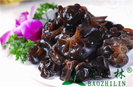 黑木耳的功效与作用及食用方法
