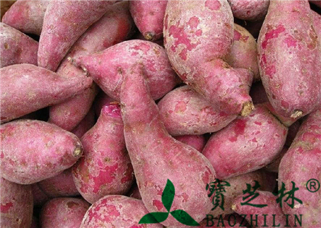 紫薯的功效与作用及食用方法