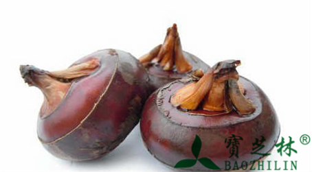 马蹄的功效与作用及食用方法