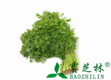 香菜的功效与作用及食用方法