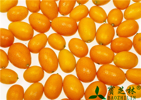 金桔的功效与作用及食用方法