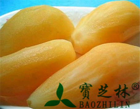 雪莲果的功效与作用及食用方法