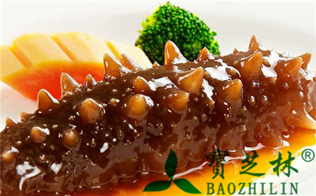 海参的功效与作用及食用方法