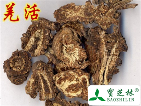 羌活的功效与作用